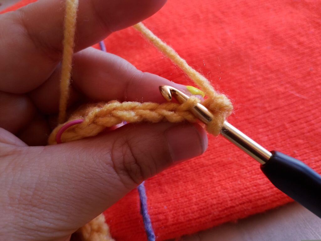 Fotografiá que muestra donde debe de entrar el crochet para empezar a tomar los puntos por la hebra de atrás.